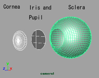 maya tutorials eyeballs eye material modeling