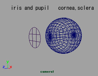 maya tutorials eyeballs eye material modeling